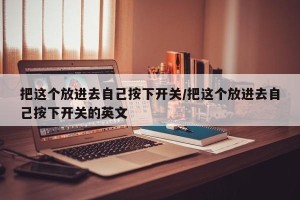 把这个放进去自己按下开关/把这个放进去自己按下开关的英文