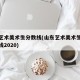 山东艺术美术生分数线(山东艺术美术生录取分数线2020)