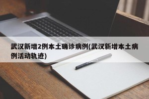 武汉新增2例本土确诊病例(武汉新增本土病例活动轨迹)